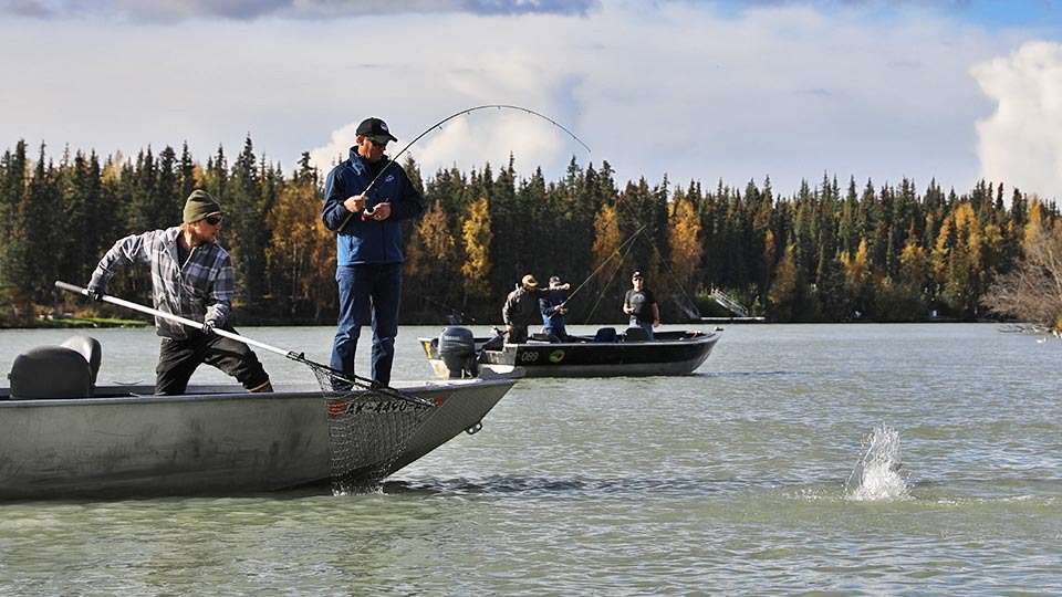 Donât worry, VanDam knows how to get a fish to the boat. The net needs to be large -- it is Alaska. The world record king salmon, which was caught in the Kenai, was 97 pounds.