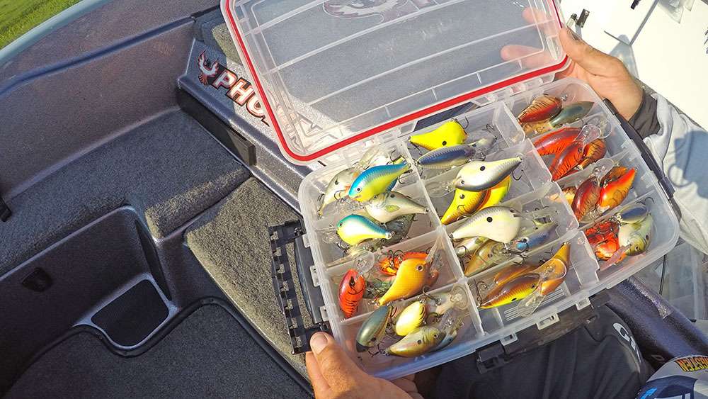 You'll also find several boxes of Rapala's famous DT series crankbaits. 