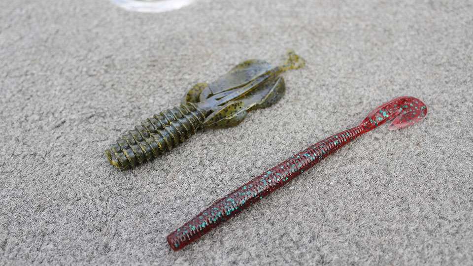 Both baits were soft plastics with one being a Reaction Innovations Kinky Beaver in Magic Craw and the other was a Zoom Speed Worm in Red Bug.