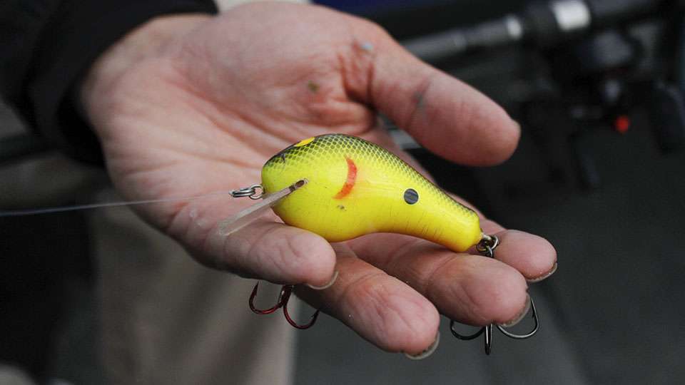 He junk fished on the main river all week after he had a poor practice. He caught one key fish per day on this Chartreuse and Black Balsa crankbait.