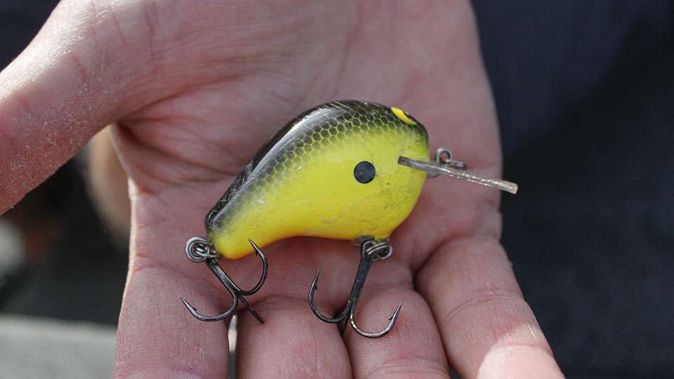 And the other was an old school Zoom EWC crankbait in black/chartreuse.