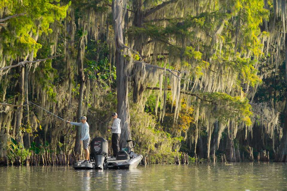 ...much of it lined with Spanish moss hanging from cypress trees. 