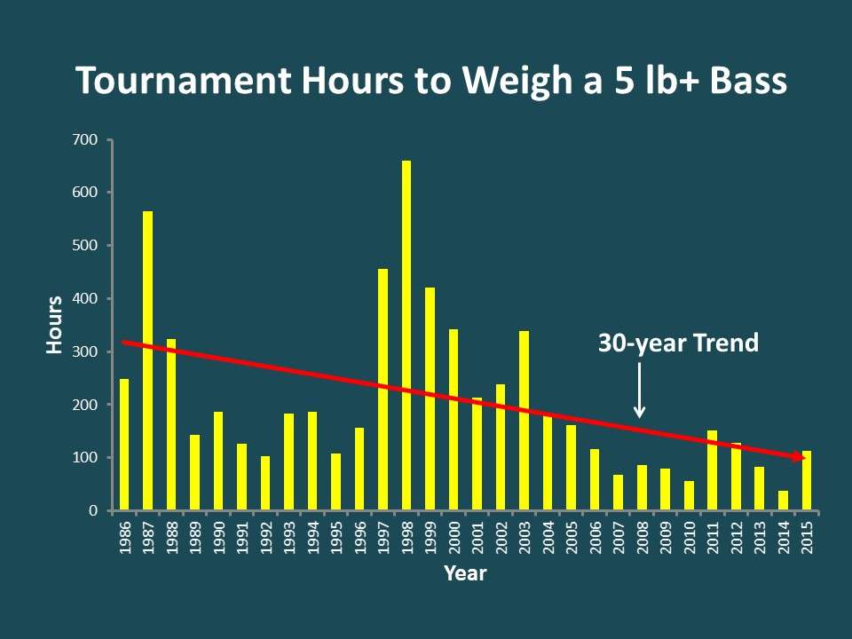 Likewise, the time it takes to catch a 5-pound or better bass has seen its ups and downs (it took a lot of hours to catch a quality bass after the largemouth bass virus breakout in the late â90s) but overall the time is declining, meaning itâs easier to catch a quality bass now than in years past.