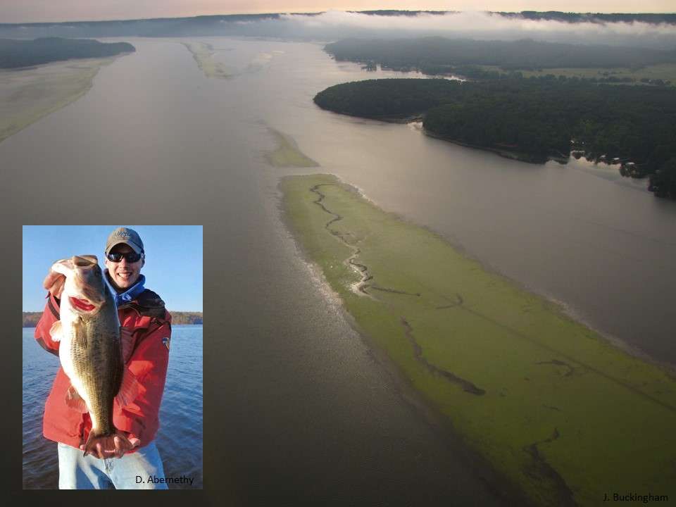 For years, Lake Guntersville in Alabama has been considered one of the top bass fishing lakes in North America. It has consistently held a Top 10 spot in the annual Bassmaster 100 Best Bass Lakes list. But recently, anglers and guides have expressed concern that fishing has declined. For the first time in years, Guntersville was not ranked in the 2016 Top 10, and was ranked fifth in the Southeast region
<p>
<em>All Captions: Gene Gilliland</em>