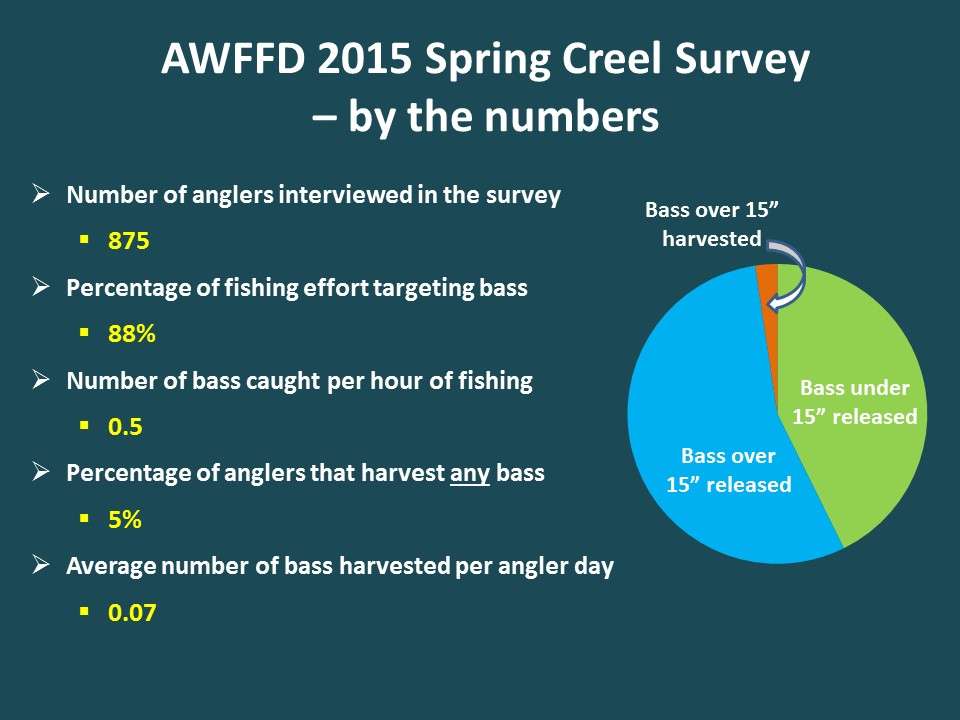 The creel survey interviewed more than 800 anglers on randomly selected weekend days during the peak spring fishing season. Although the bulk of the fishing effort was directed toward bass (88%), only 5% of anglers harvested bass, and very few bass were being kept (average of only 0.07 bass per angler per day).