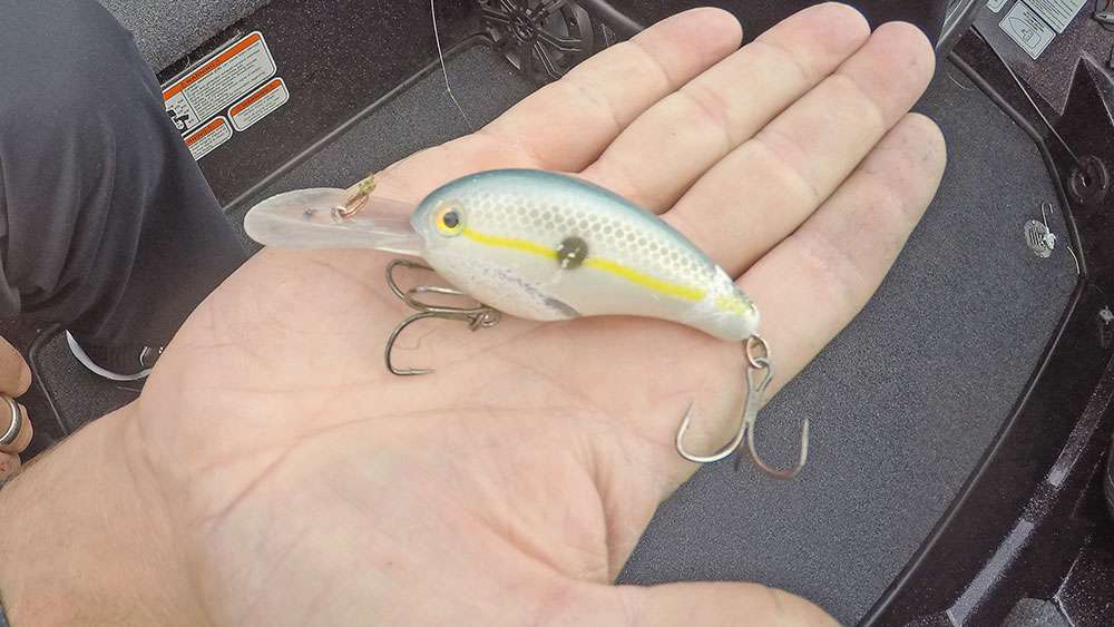 Of course, the crankbait legend himself keeps a steady supply of cranks on-hand. This 6XD has seen some action. Notice the bill, itâs been dragged along the bottom on the reefs, and it shows some wear and tear. The Sexy Shad works north to south, east to west. 