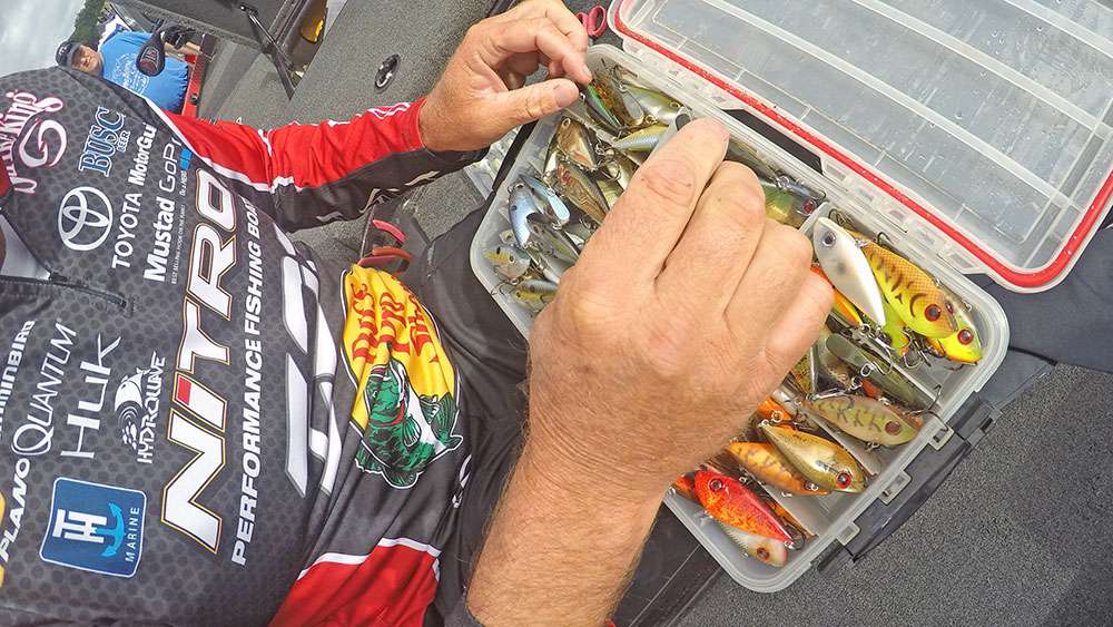 He also keeps a box of lipless cranks around. The Red Eye Shad is his signature lipless. 