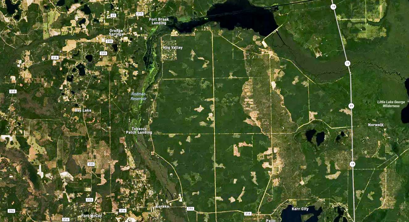 <h4>8. Rodman Reservoir, Florida</h4><BR>
Previous: <BR>2015: 30 <BR>2014: 55<br>2013: 14<br>2012: Not Ranked