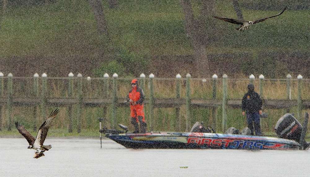 Shaw Grigsby was sight fishing too, but intermittent rain hampered everybody's efforts to see fish on beds. 