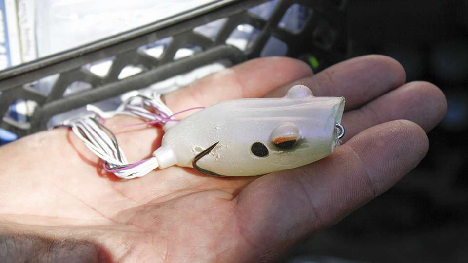 Among his soft plastics he found a White Terminator Poppin' Frog, which had plenty of teeth marks from the 2016 season.