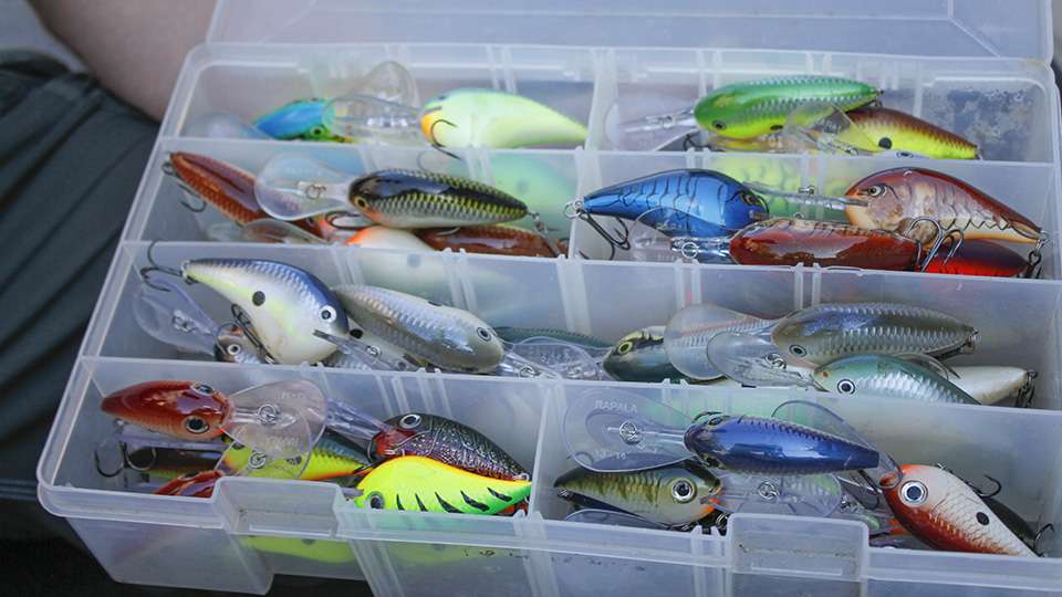 And the other contains other Rapala crankbaits mostly in the DT series.