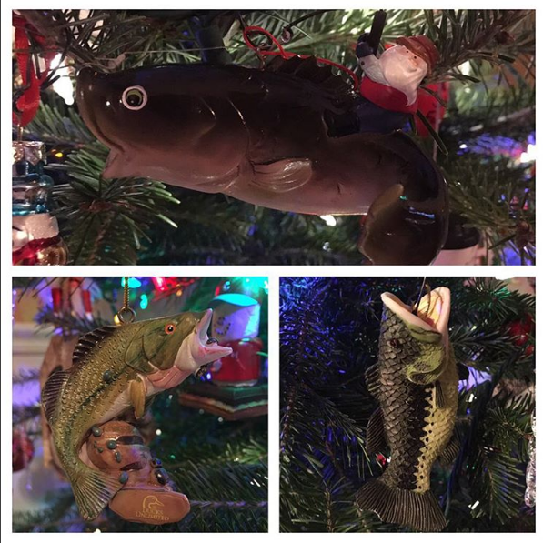 sammymom3 shared this photo with us on Instagram with the caption: Trying to keep Christmas fishy!