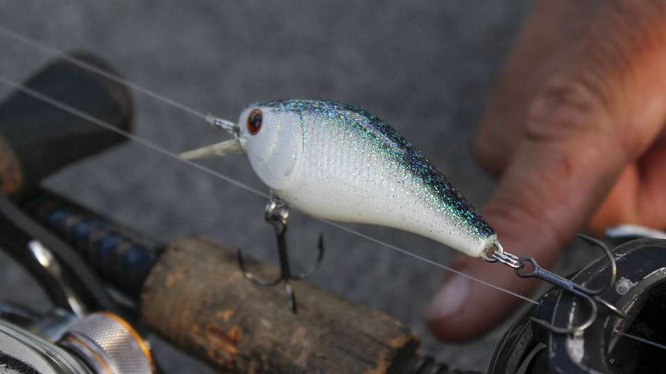 Between beds he switched to a Luck-E-Strike RC2 Square Bill Crankbait. âIâd throw it in the canals,â said Robinson. âA lot of guys were throwing heavier crankbaits and this little square bill made the difference for me.â