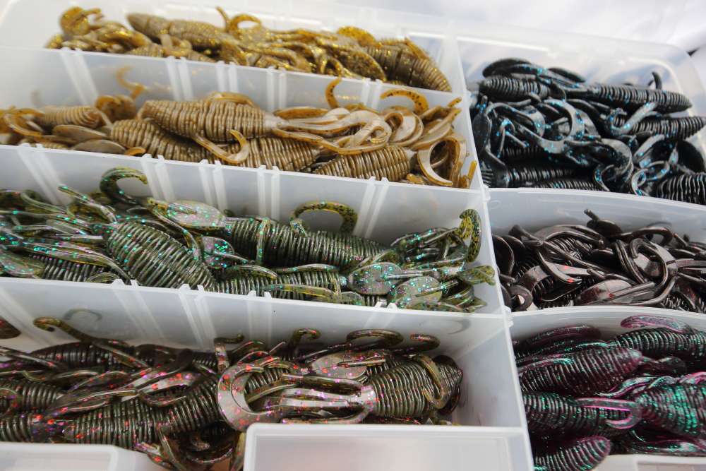 This box holds a selection of chunky Ringmaster Creature Baits from Luck-E-Strike.