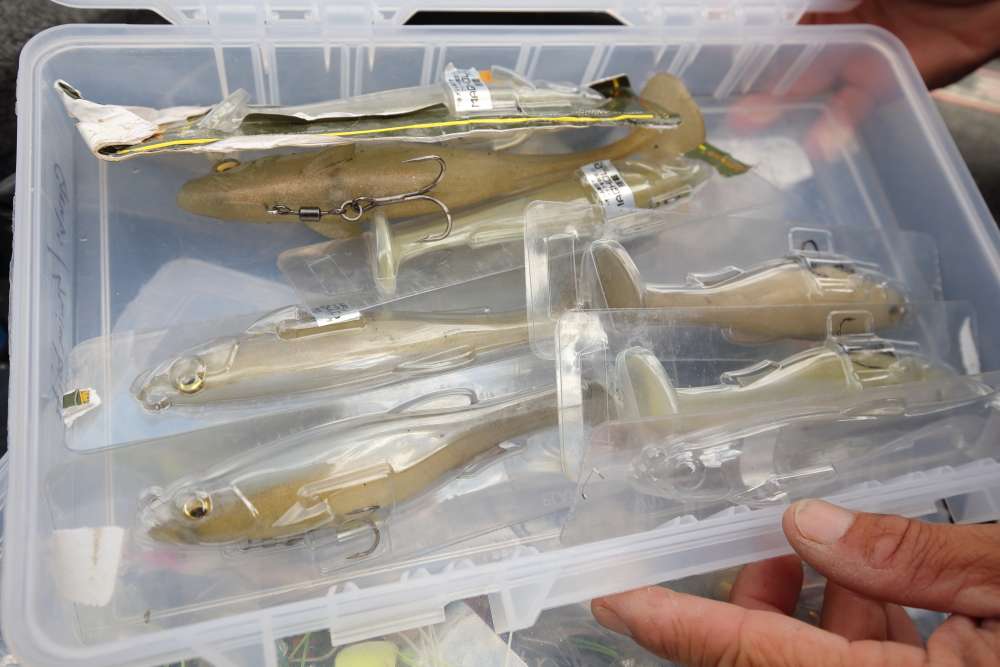 Megabass also makes an excellent selection of swimbaits that always have a place in Evers' boat.