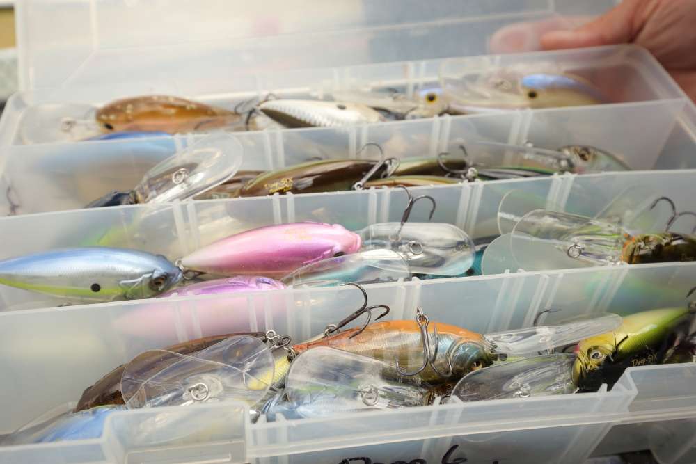 A nice collection of colorful crankbaits.
