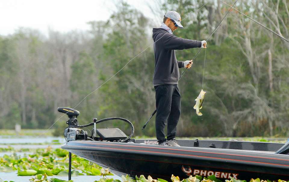 But with both Justin Lucas and Jordan Lee close by, we were able to watch two of bass fishing top young guns go head to head. 
