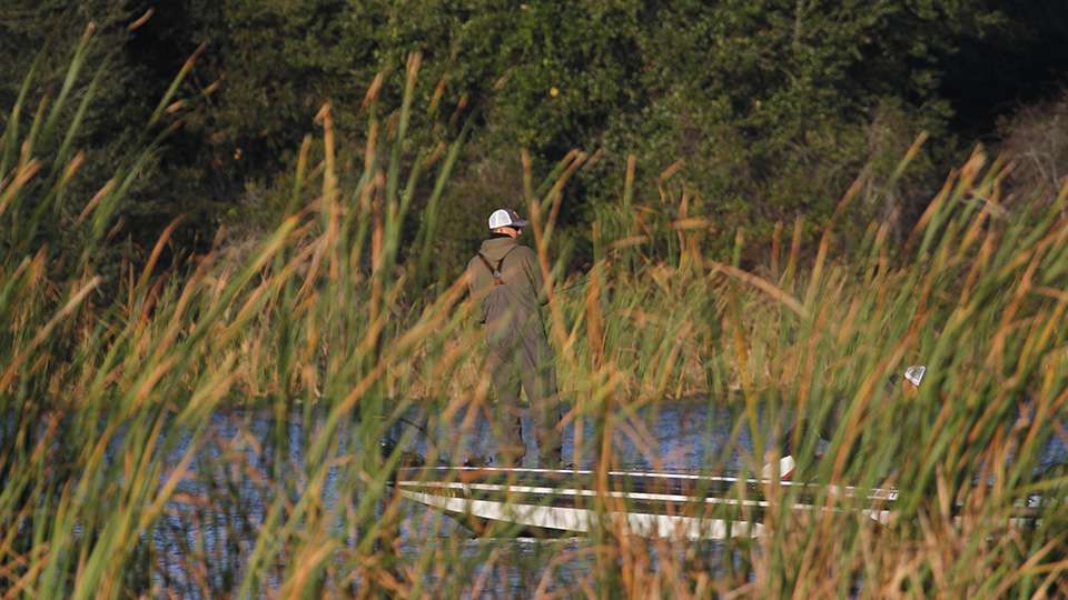 Robinson slides behind an island of reeds as he fishes his reaction baits through small lily pad fields.