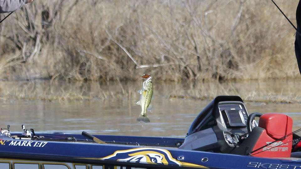 This one came in the boat and added to their five-fish limit.
