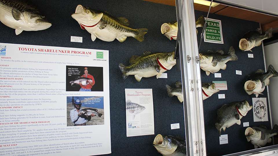 The Texas Wildlife had a setup of the Toyota Lunker Share program to show off all the big fish Texas lakes pump out.