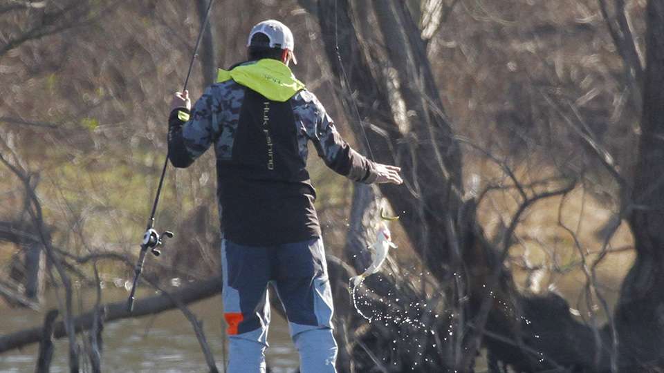 Mills swung in the small fish and realized it wouldn't help their limit.