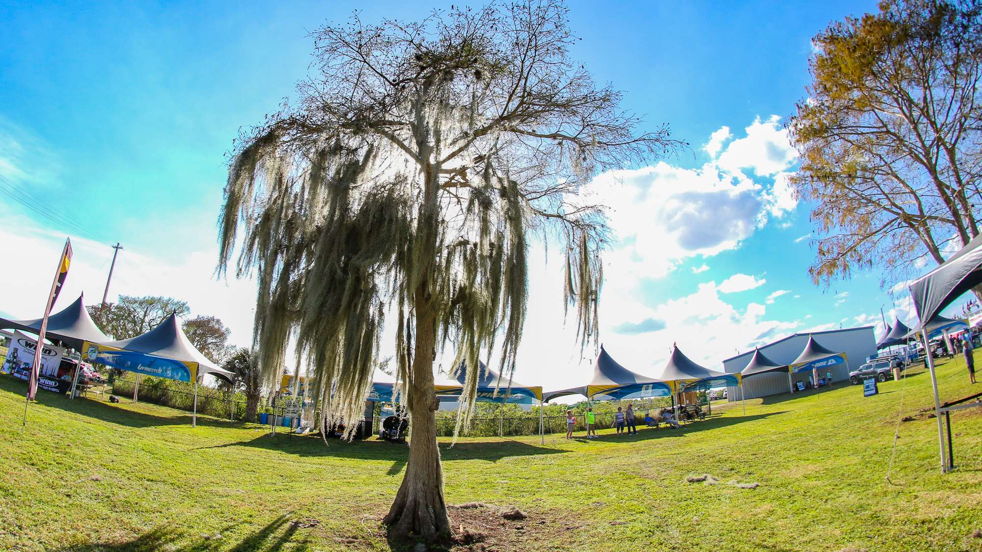 Trees look a little different here than they do in Alabama.