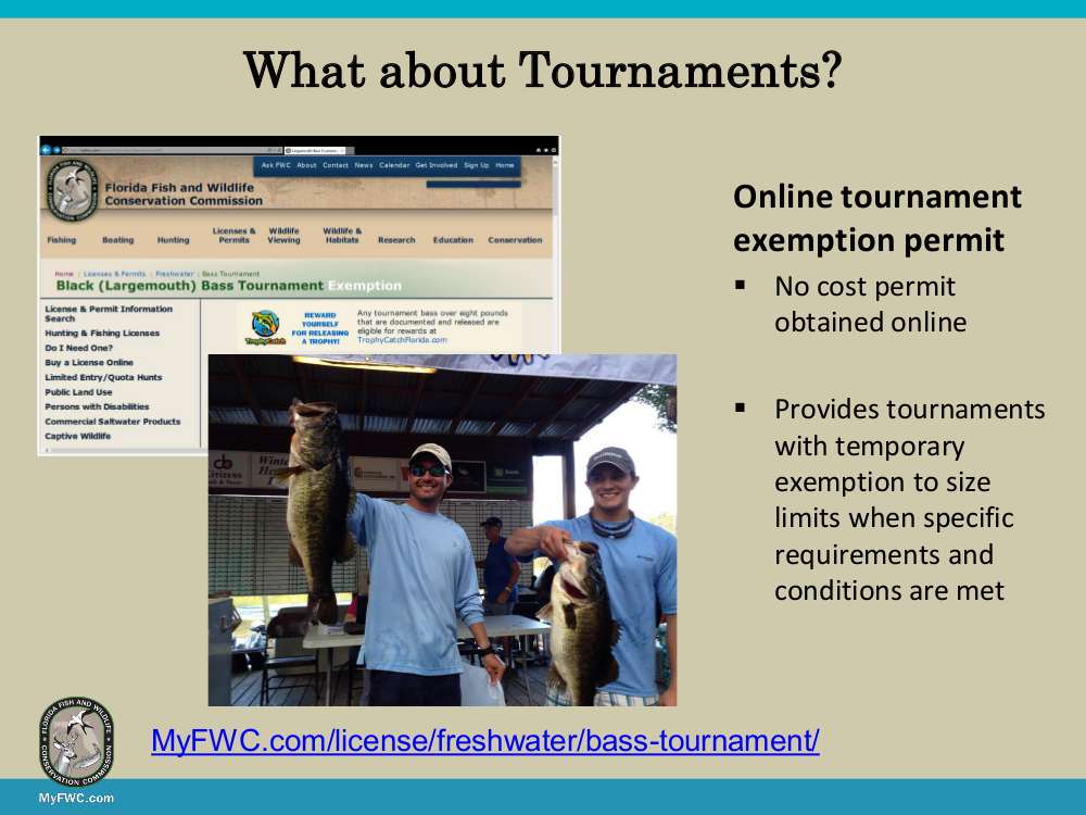 Some tournament anglers thought the regulation would restrict their events but FWCâs free online bass tournament exemption program alleviated these concerns. This program also provides valuable data about bass fisheries and enables staff to communicate with tournament directors regarding weigh-in practices to increase fish survival.