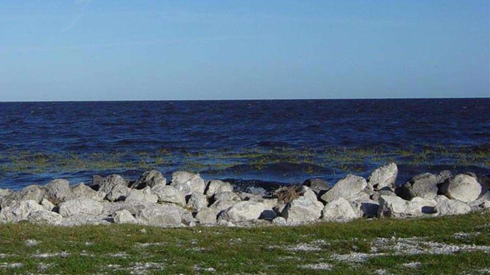 Okeechobee looks like ocean, and the big water can act like one when the wind blows, requiring more thought into the formulation of winning there. The vast expanse of water includes more than 150,000 acres of productive vegetation. A 100-yard wide rim canal circles the lake, and many secondary canals and cuts are linked to it, resulting in hundreds of miles of fishing water. 