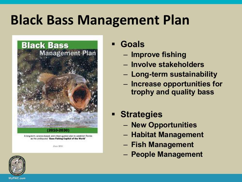 In 2010, Florida Fish and Wildlife Conservation Commission (FWC) staff worked with stakeholders to develop a Black Bass Management Plan to guide bass management for the next 20 years.  