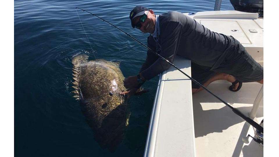 Randall Tharp was sure to be sore after reeling in this monster grouper. A number of Elites take their time away from bass fishing and head out during the winter â to saltwater fish. Some do it more than others.