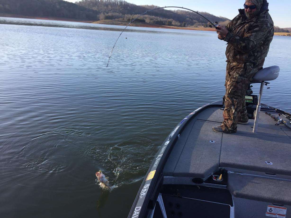 David Williams likes this spot. Yesterday, he hung his bait on a rock, and as he was shaking it free, he felt a thump and watched what turned out to be a 3-pound smallmouth clear the water. Now he has caught and landed a keeper largemouth!
