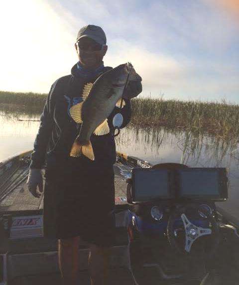 Another good upgrade for Brandon Lester replacing a 1-pounder with a 2.5-pounder