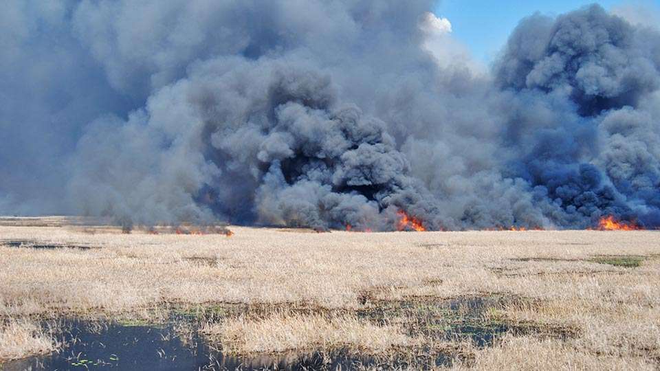 In cooperation with other entities, the FWCâs prescribed burns safely allow for natural processes while ensuring ecosystem health and reducing the potential for wildfires. Ecologically responsible burns help improve habitat for fish, waterfowl and other wildlife.