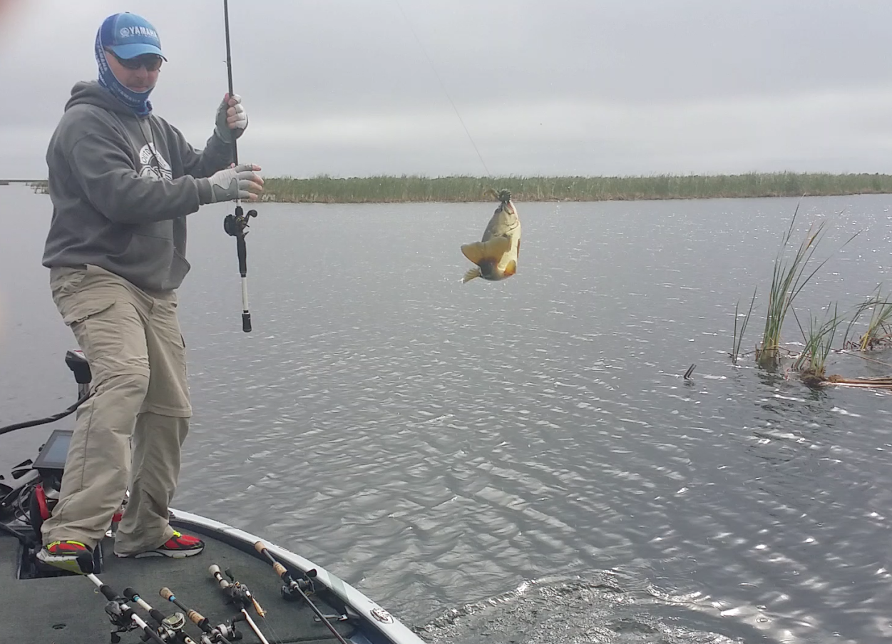 Mark Menendez is slaying the bass, looking for a big bite. This will be his second upgrade. 