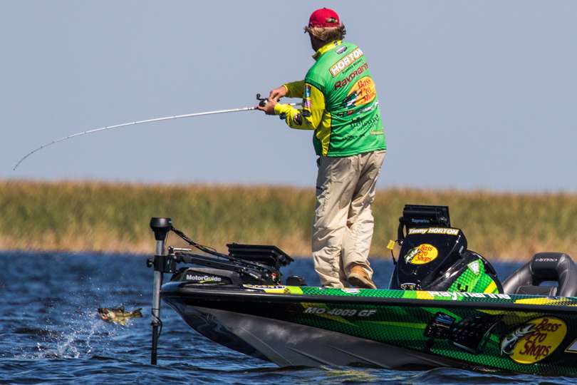 Okeechobee bass are real fighters. 