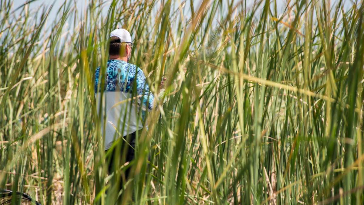  When we found Greg Hackney you could barley see him or his boat he was so far up in the reeds. We almost drove right by him.