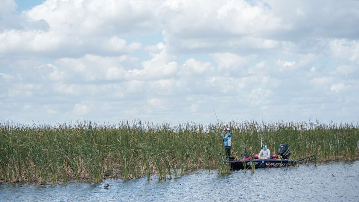 Greg fished his way down the harder edge of some Kissimmee grass.