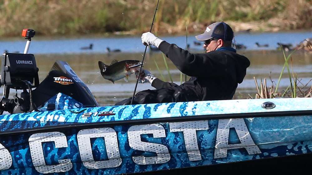 It's a nice bass for sure. One that will help Ashley climb the leaderboard. 