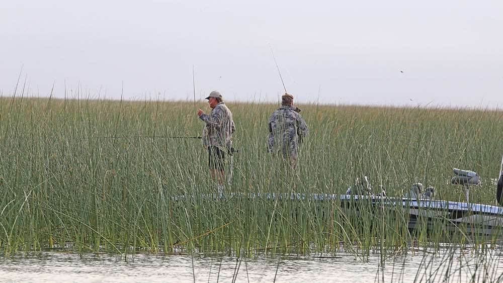 There are a good number of crappie fishermen that have been fishing the hay grass. They use long rods to quietly drop small jigs into the holes that exist inside the weed clumps. 