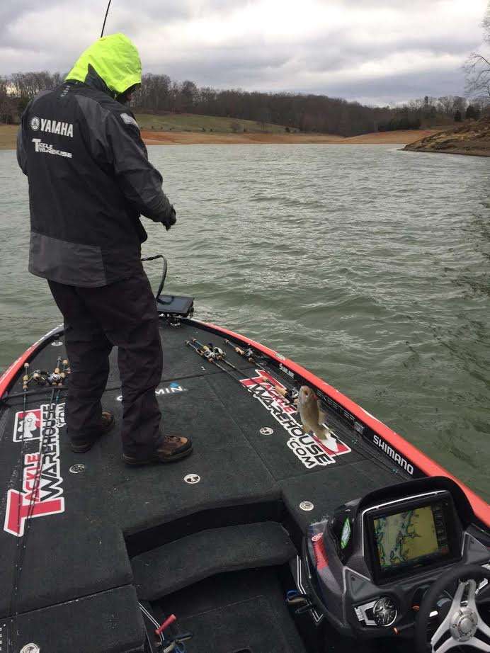 Jared Lintner lands keeper smallmouth No. 2. I think it's safe to say he's putting together a solid pattern.