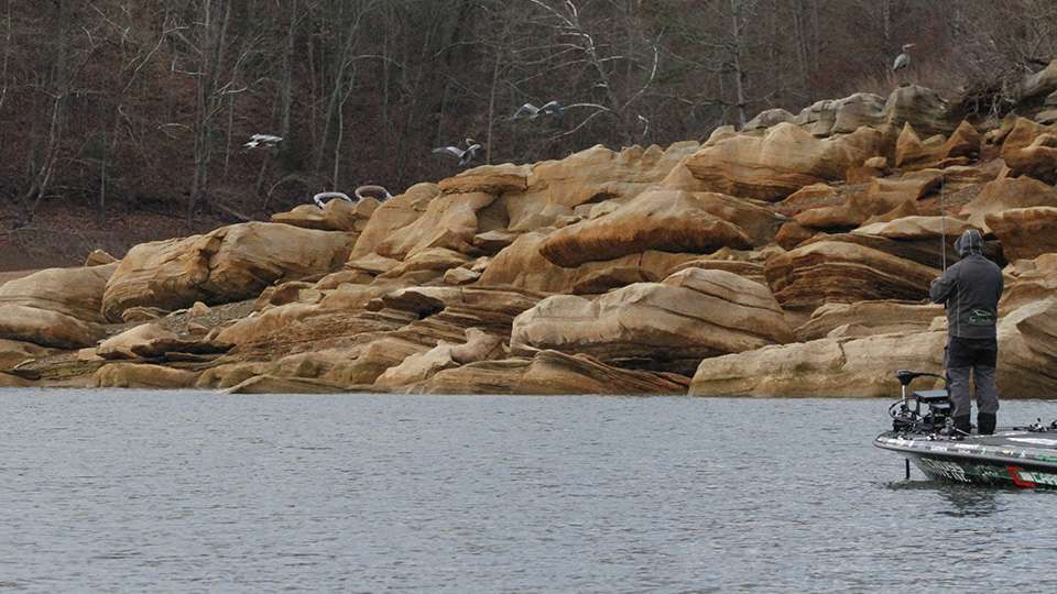 Fred Roumbanis was fishing some of the rocky terrain as a group of blue heron landed on the point.
