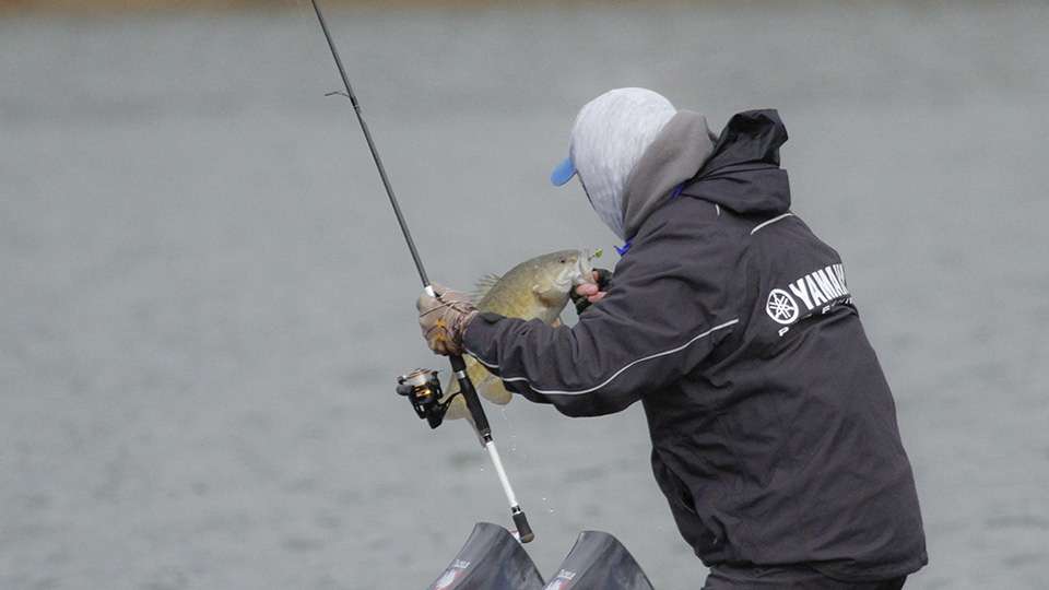 He added another solid smallmouth to the livewell as he stayed near the top of the leaderboard.
