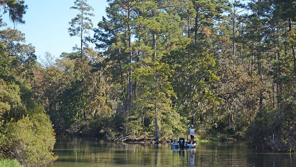 The reason is Sam Houston National Forest. Undeveloped shorelines on both sides of the lake offer a striking contrast of bass habitat when compared to the lower end of Conroe. 