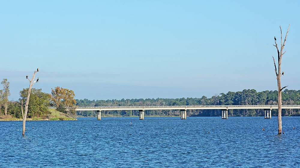 Beyond the FM 137 bridge is even more change in scenery. North of the bridge the lake narrows and transitions into a river type fishery. The San Jacinto River feeds Conroe and the fishing up here is distinctly geared toward river fishing. Think heavy cover, narrow channels and resident largemouth. 