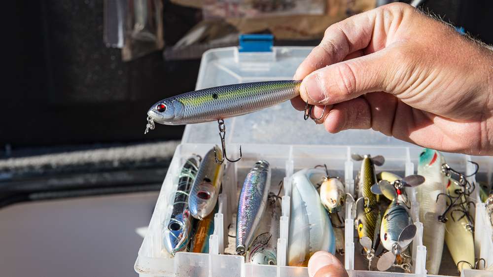 One of Jesse's favorite topwater lures to walk-the-dog with is the Jenko Fishing Fleabag 110. 