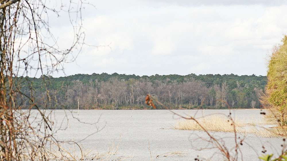Conroe offers diverse scenery and fishing opportunities. 