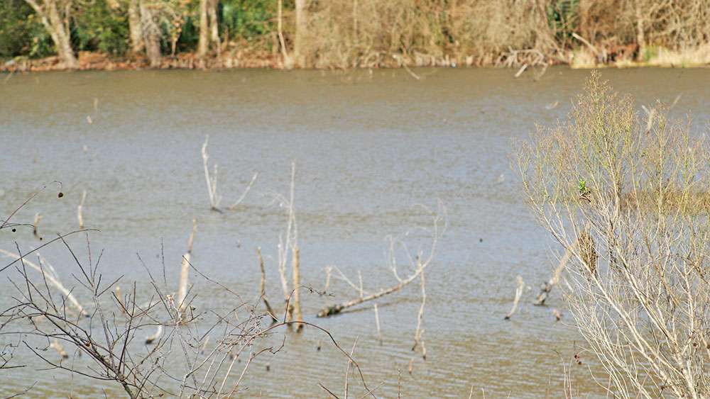 Man-made fish attractors (brush piles, spider blocks and Georgia structures) provide additional fish habitat for bass to hide in.