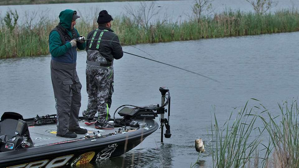 Zona is the first to strike on the day, bringing in a decent fish within the first few casts.