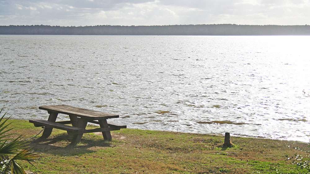 A secluded picnic table at one of the National Forest boat ramps.