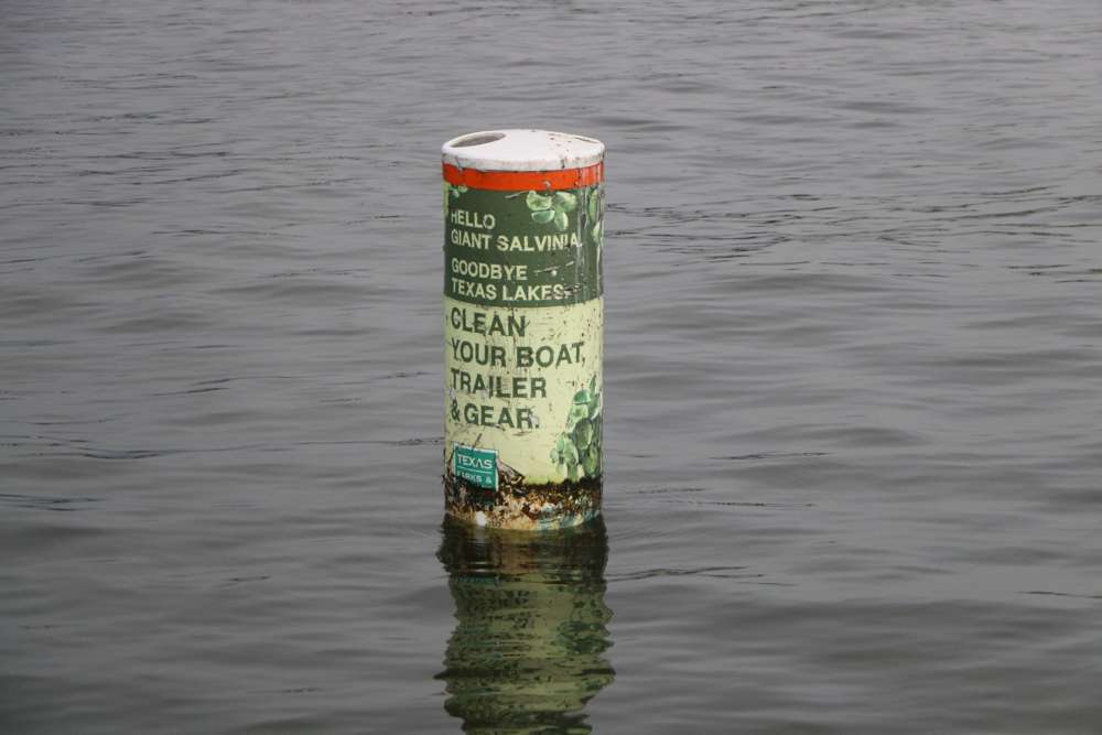 âHello Giant Salvinia, Goodbye Texas Lakes,â Texas Parks and Wildlife warns of aquatic hitchhikers.